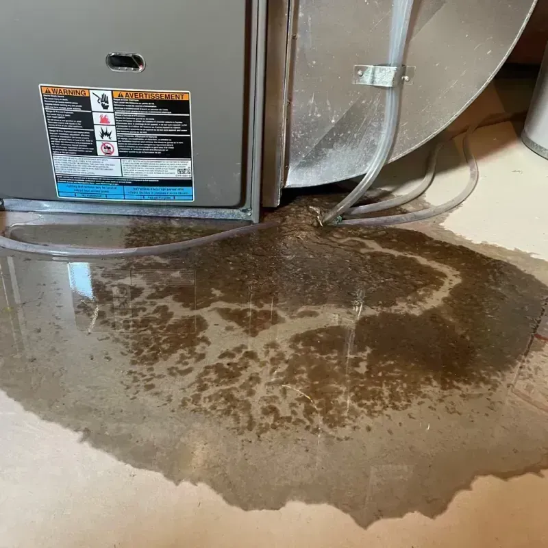 Appliance Leak Cleanup in Hamilton, IL